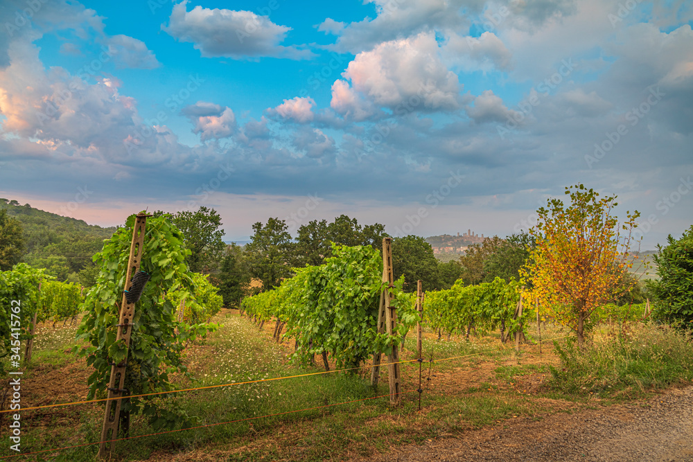 Naklejka premium Beautiful summer sunset after rain near San Gimignano, Tuscany, Italy