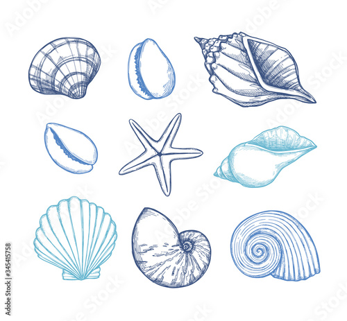 Hand drawn vector illustrations. Marine background with seashells. Collection of shell, sink and starfish. Perfect for invitations, fabric, textile, linens, posters, prints, banners