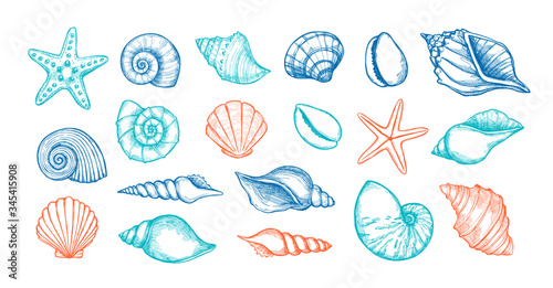 Hand drawn vector illustrations. Marine background with seashells. Collection of shell, sink and starfish. Perfect for invitations, fabric, textile, linens, posters, prints, banners