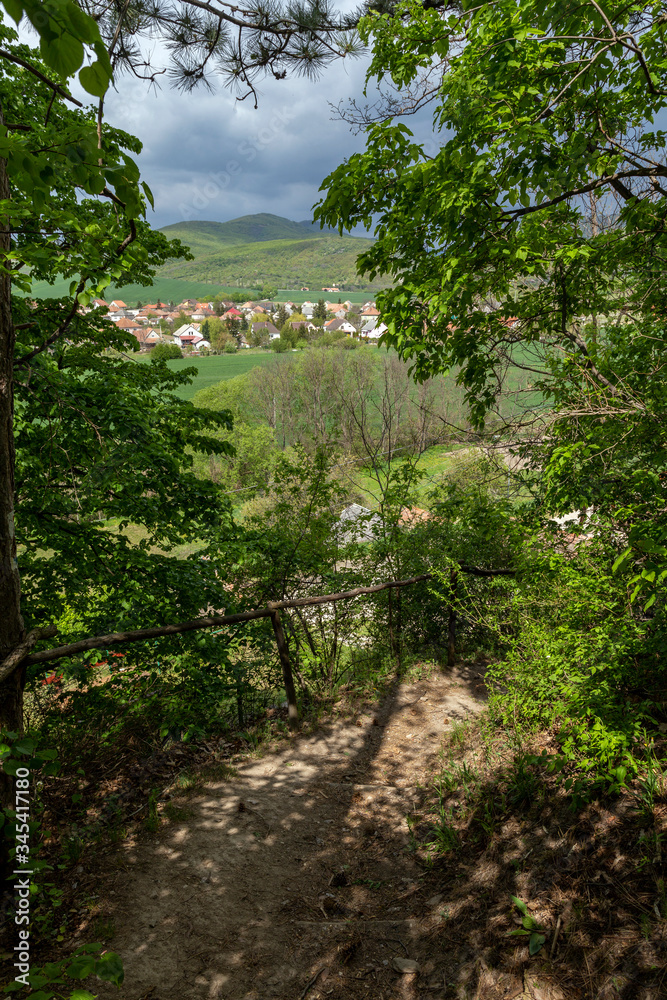 Hiking path near Cserepfalu, Hungary