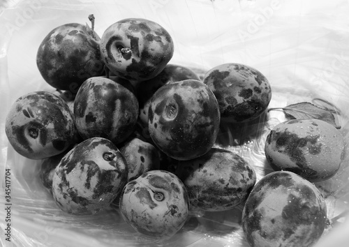 Autumn harvest fruits. On the table in a white box are blue plums. Near the little yellow leaf. Black and white image.