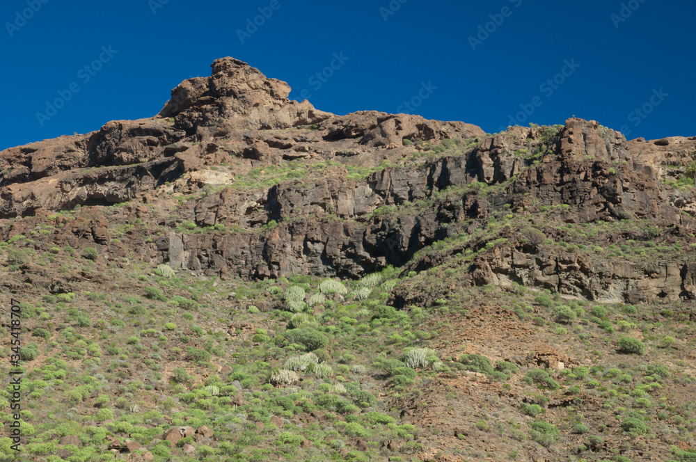 Cliff in the Arguineguin ravine. Gran Canaria. Canary Islands. Spain.
