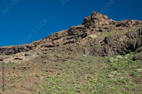 Cliff in the Arguineguin ravine. Gran Canaria. Canary Islands. Spain.