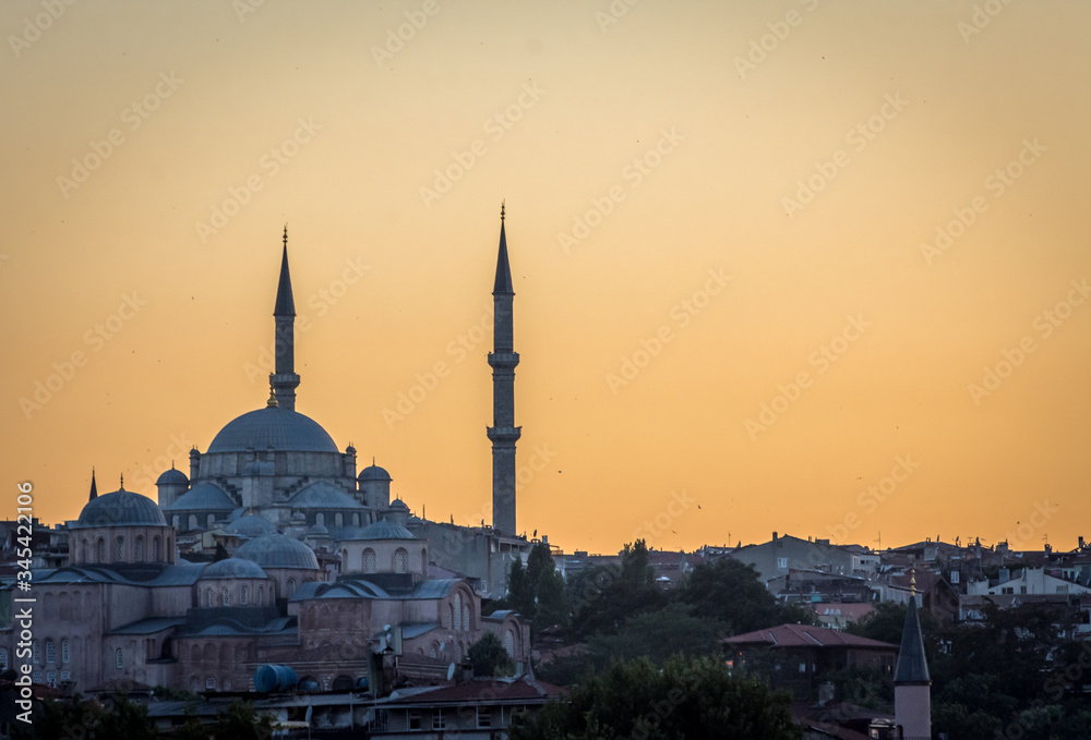 sunset with view on mosque and birds in istanbul