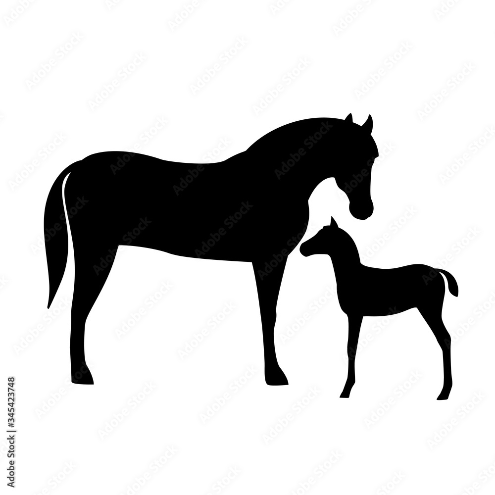 Horses with foal silhouette isolated on white background. Farm animal. Horses with foal silhouette isolated on white background. Farm animal.