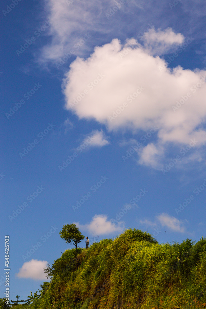 a tree with beautiful clouds above it a tree with beautiful clouds above it