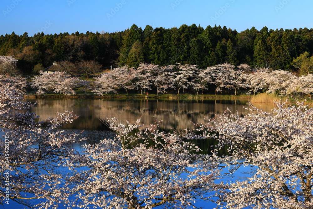 春の平筒沼 春の平筒沼