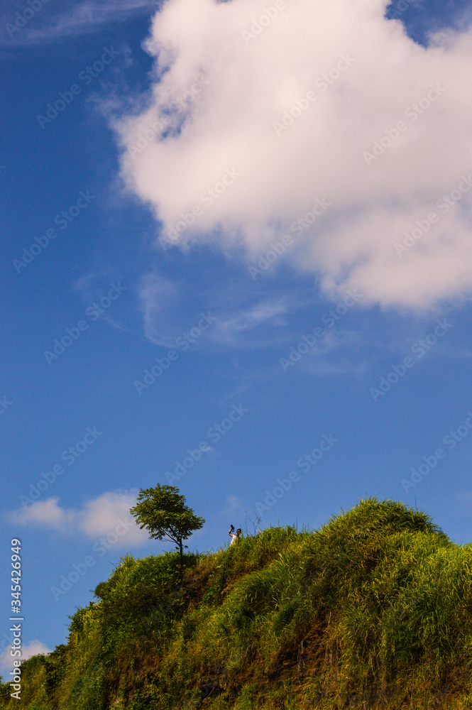 a tree with beautiful clouds above it a tree with beautiful clouds above it