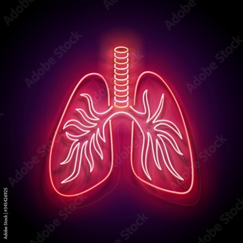 Glow Healthy Lungs, Human Respiratory System