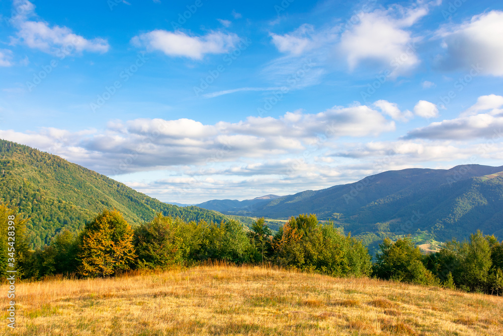 wonderful autumn scenery on a sunny evening. trees and weathered grass on the hills. mountain range in the distance beneath a blue sky with clouds