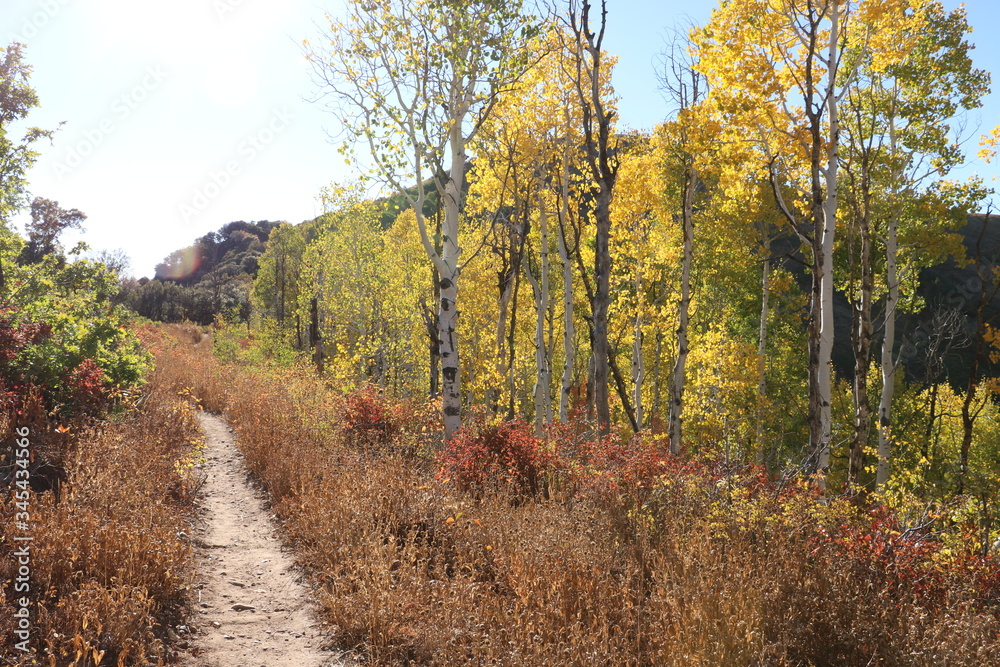 Hiking in the Wasatch Mountains during early Fall, Salt Lake City, Utah