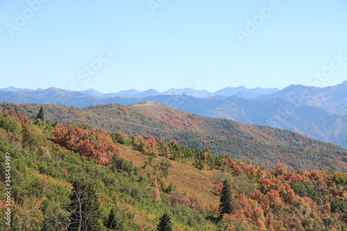 Photos The maples of Wasatch mountains start to show their fall foliage by mid Septembe