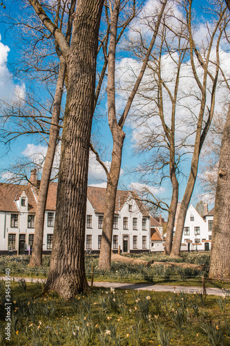 white houses in the middle of a park with many trees. Bruges Belgium