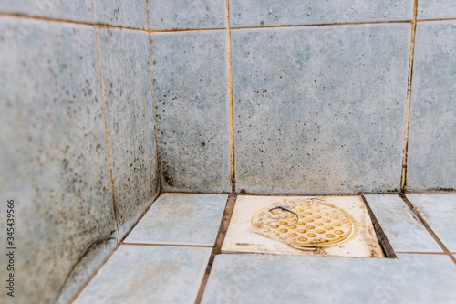 Foto Mildew, dirty unhygienic mold growing on bathroom wall tile
