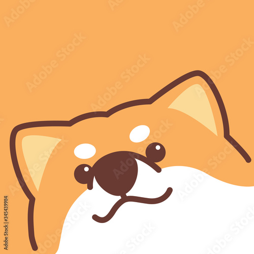Cute shiba inu dog face, vector illustration