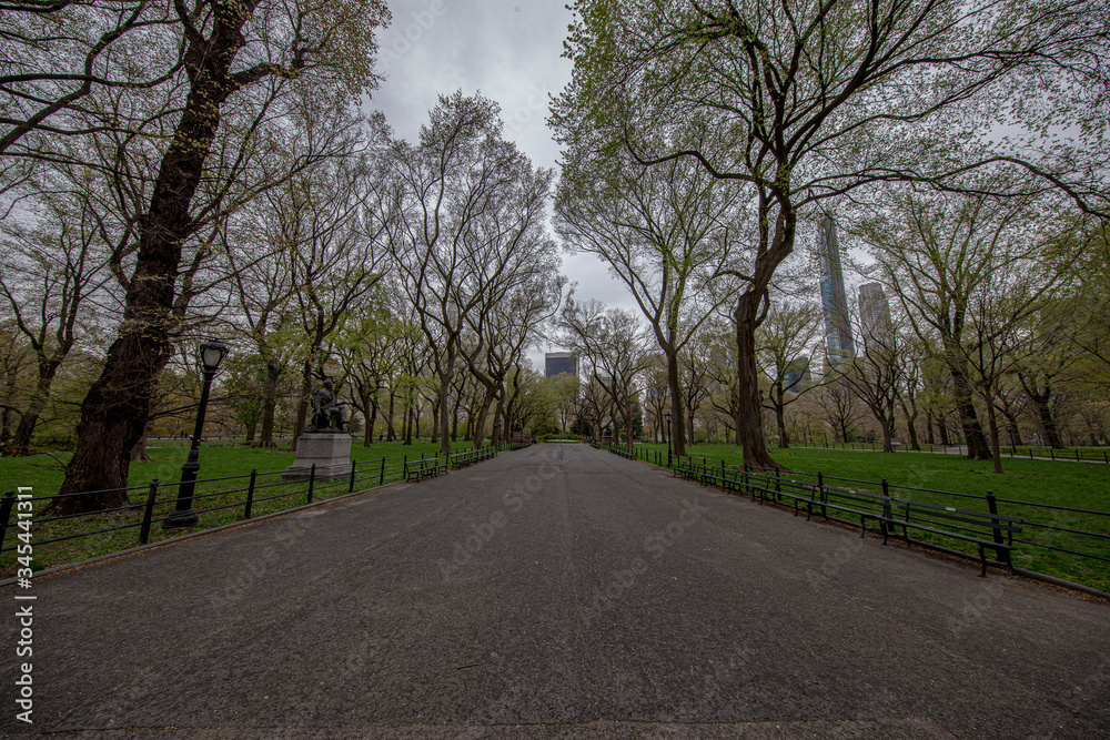 Fototapeta premium The Mall