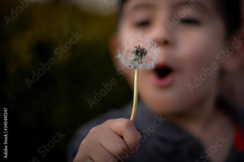 girl blowing dandelion