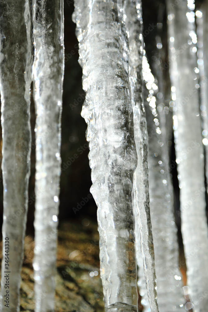 Fototapeta premium つららの光