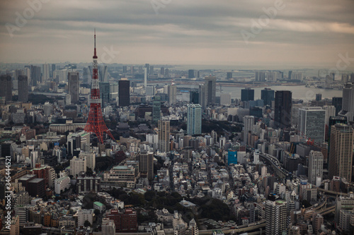 曇りで霞んだ東京の風景