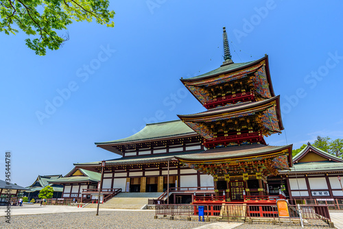 成田山新勝寺大本堂と三重塔