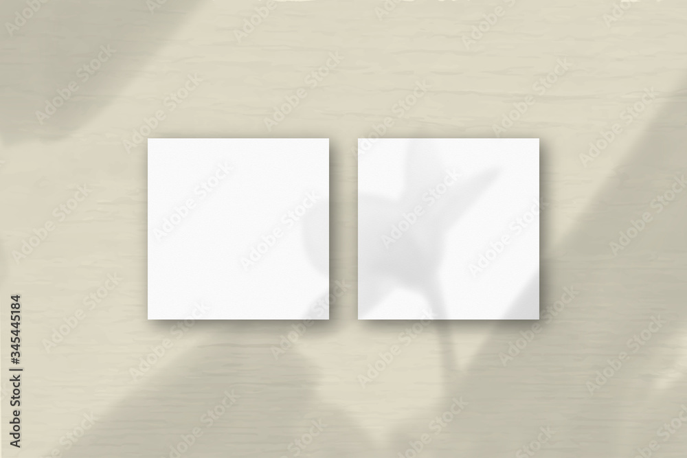 Fototapeta premium 2 square sheets of white textured paper on the grey wall background. Mockup overlay with the plant shadows. Natural light casts shadows from an exotic plant. Flat lay, top view