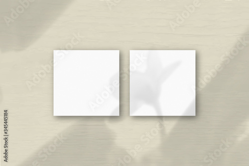 2 square sheets of white textured paper on the grey wall background. Mockup overlay with the plant shadows. Natural light casts shadows from an exotic plant. Flat lay, top view