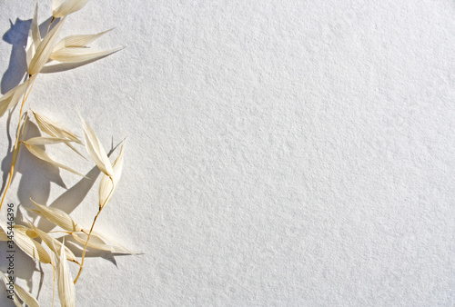 Sfondo auguri, messaggi, invito, locandina