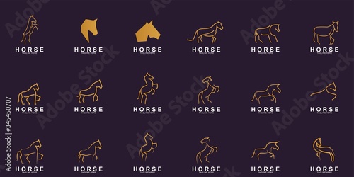 Set of Horse Logo