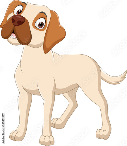 Cartoon dog isolated on white background