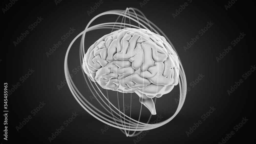 Animation of 3d human brain rotating on black background. Animation of 3d human brain rotating on black background.
