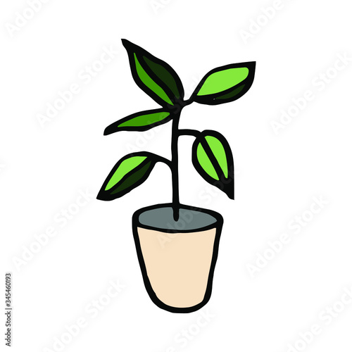 Isolated on a white background seedlings drawing plant in a pot, hand-drawing, doodle, vector