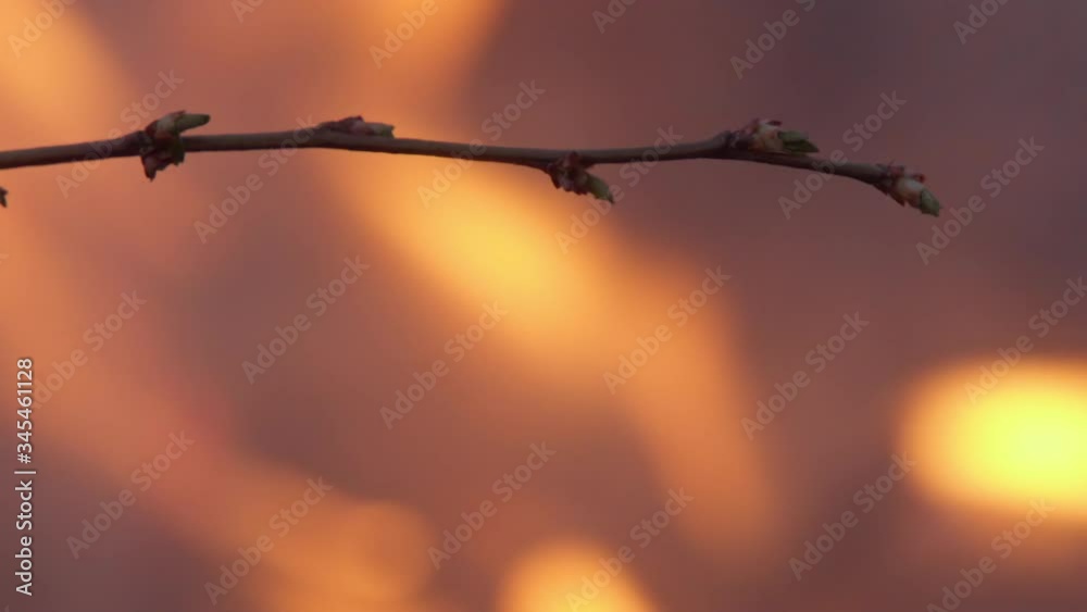 Natural disaster, climate change, global worming Natural disaster, climate change, global worming