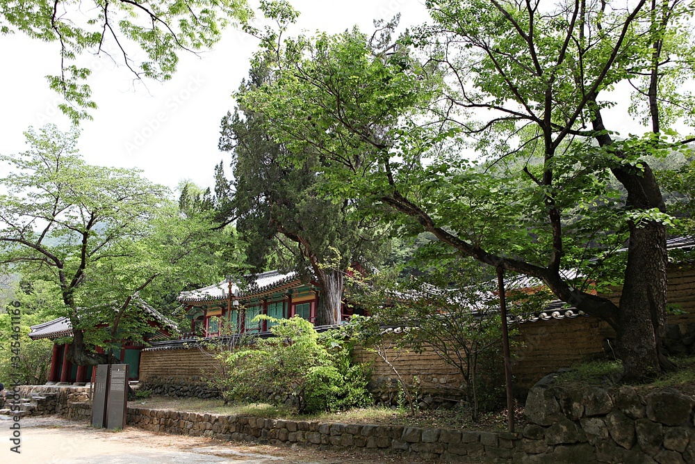 Fototapeta premium 한국 경북 포항시 옥산서원 입니다