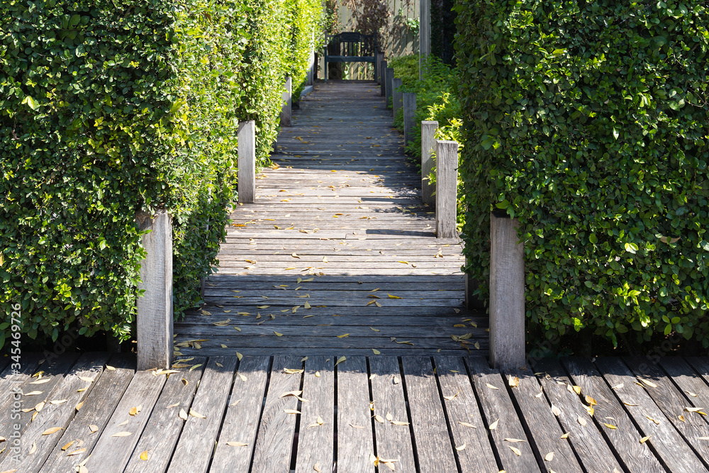 Obraz premium Wooden pathway