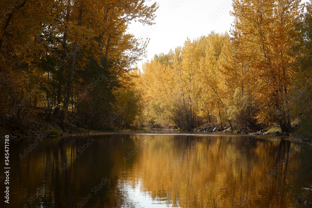 A beautiful autumn view of a flowing creek A beautiful autumn view of a flowing creek