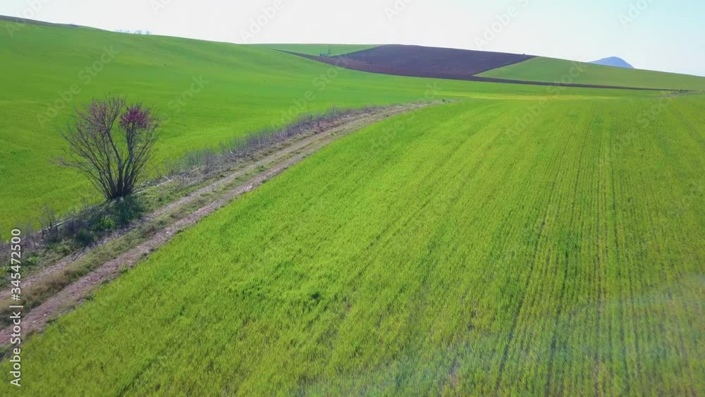 Drone forward and tilting up shot over green fields in Thessaly, Greece. 4K video quality Drone forward and tilting up shot over green fields in Thessaly, Greece. 4K video quality