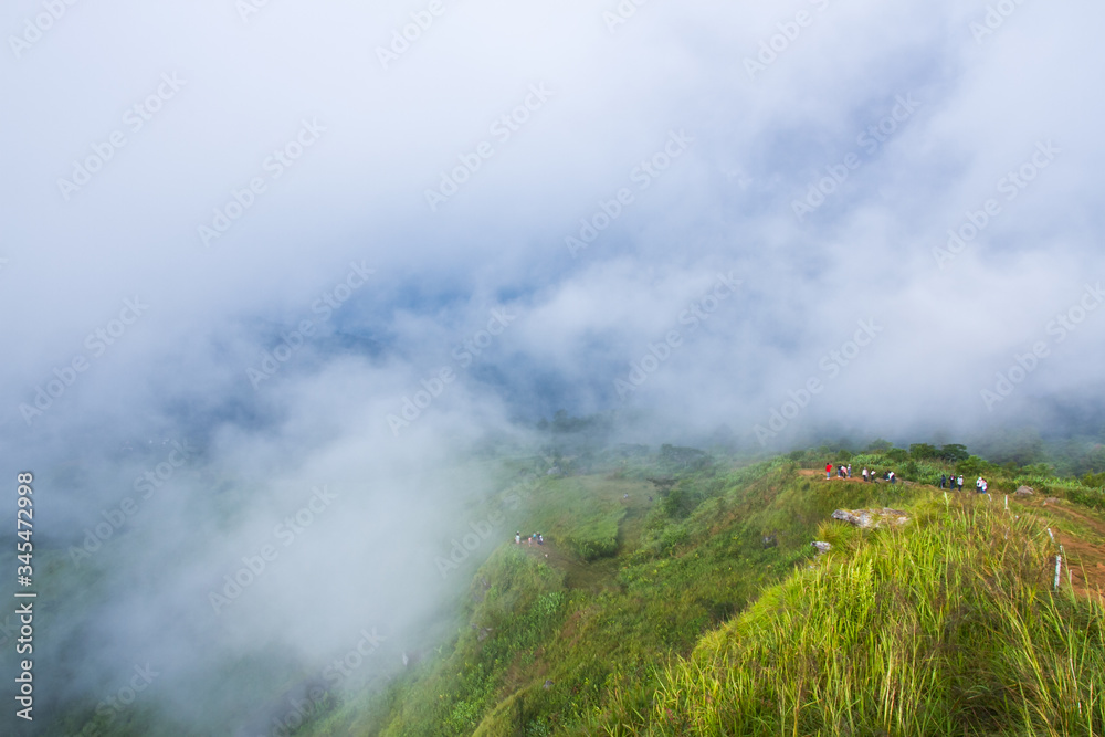 fog over mountain in the park of Thailand fog over mountain in the park of Thailand