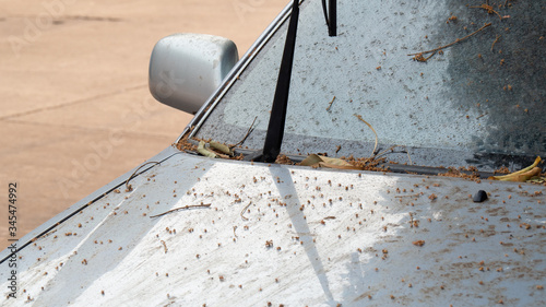 The dirt on the car that consists of the lever