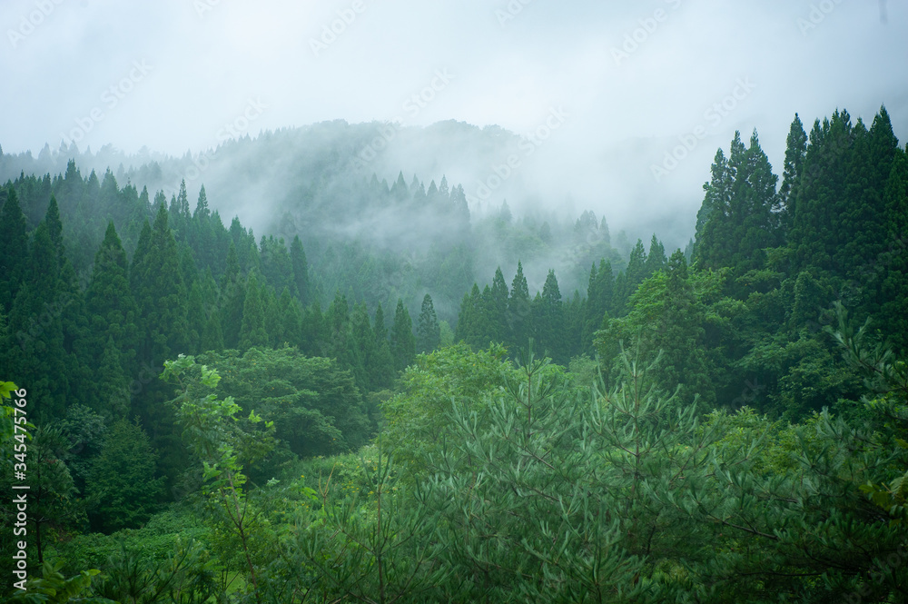 Obraz premium 霧が掛かった秋田の山と森