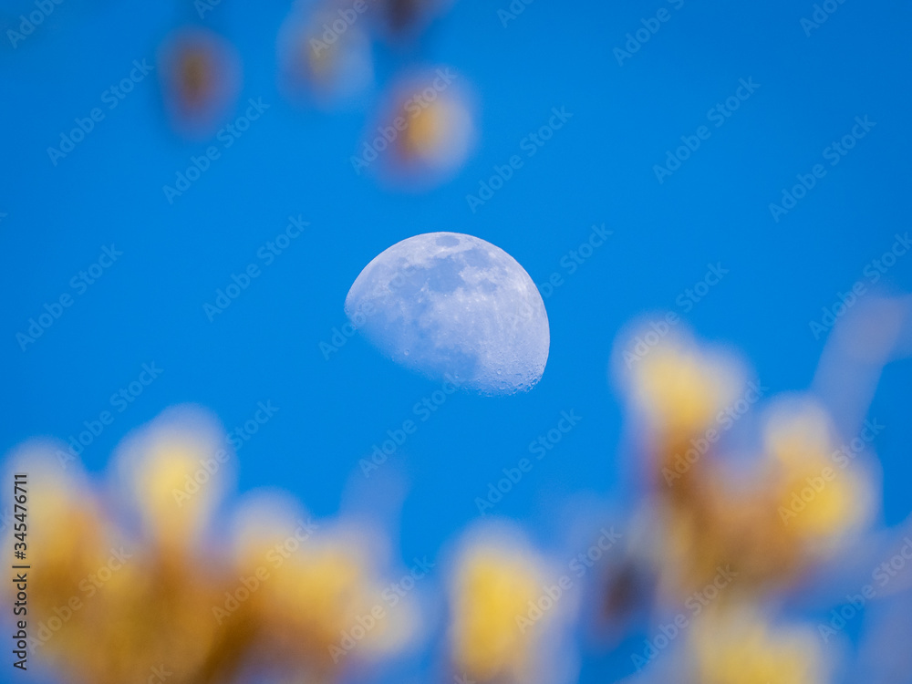Half moon in the blue sky at late afternoon