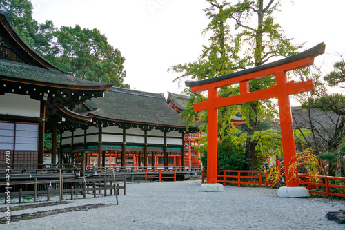 京都　下鴨神社 © ndk100
