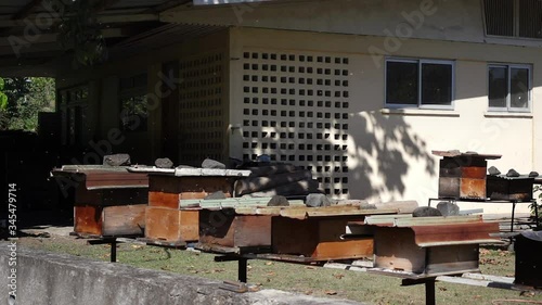 Bees flying around their hives - slow motion photo