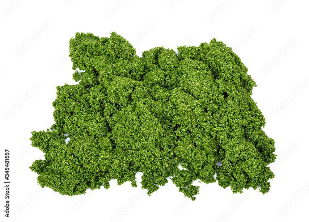 Wolffia globosa or Fresh water Alga, Water Meal, Swamp Algae on white background