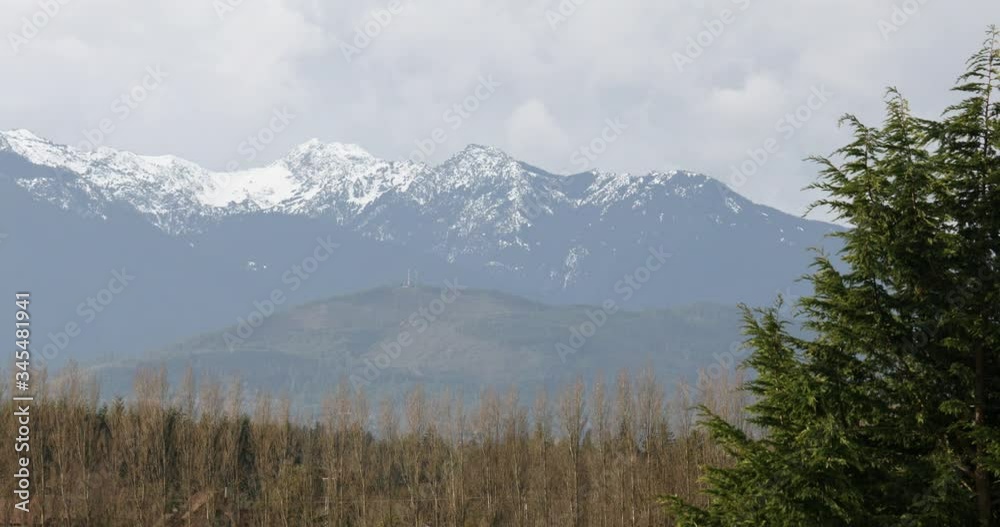 Snow Capped Mountains In Washington State Viewed With Green Fir Tree In Foreground. Slow Pan Right Snow Capped Mountains In Washington State Viewed With Green Fir Tree In Foreground. Slow Pan Right