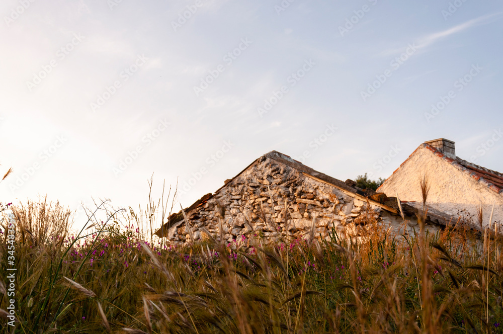 Fragment of a stone wall and the roof of a rural house among tall grass and against the sky during sunset Fragment of a stone wall and the roof of a rural house among tall grass and against the sky during sunset