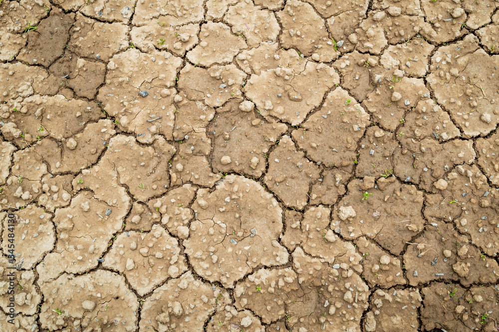 Cracks in dry soil due to lack of rainfall. Barren soil with cracks and no vegetation Cracks in dry soil due to lack of rainfall. Barren soil with cracks and no vegetation