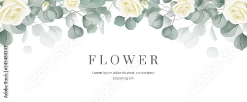 Flower banner, floral background, white roses and green eucalyptus leaves