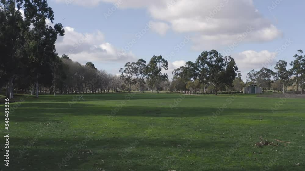 Pristine green grass aerial flight rising above trees to reveal city skyline