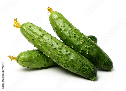 Green cucumber on the white background