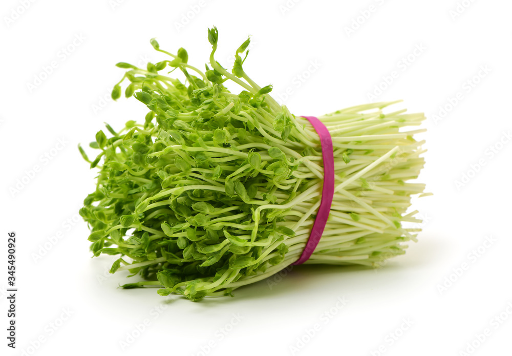 Bunch of snow pea microgreen on white background Bunch of snow pea microgreen on white background